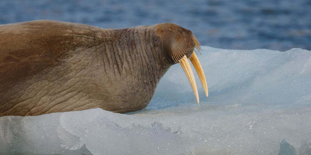 From static spreadsheets to living systems how technology turns financial crime risk assessments into real-time intelligence