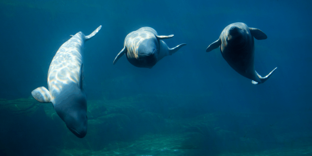 It takes a village Who really owns the financial crime risk assessment