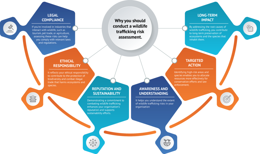 Wildlife Trafficking Risk – AML Compliance | Arctic Intelligence