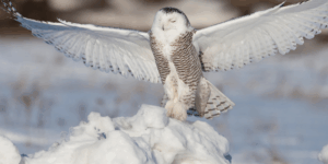 Money Laundering, Terrorism and Proliferation Financing Risk Assessments for Asset Managers, Investment Managers, Fund Managers, Wealth Managers and Hedge Funds