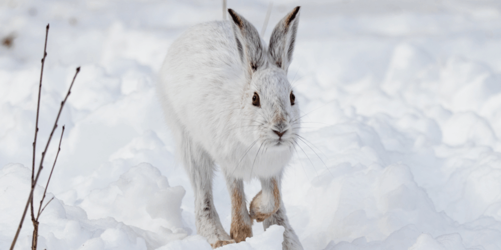 Money Laundering, Terrorism and Proliferation Financing Risk Assessments for Real Estate Professionals