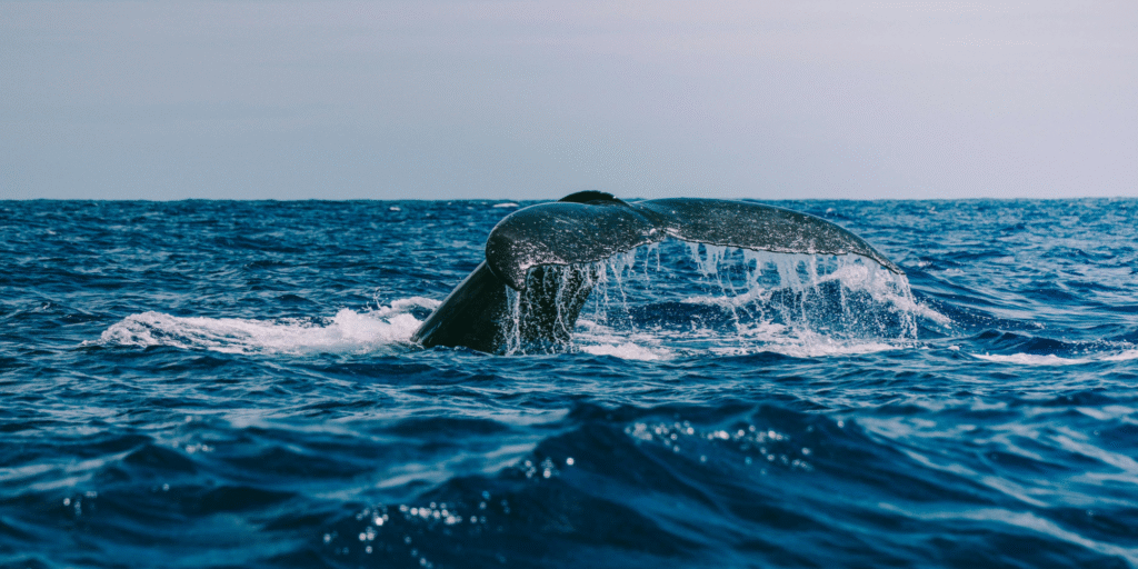 The spreadsheet trap - Why manual financial crime risk assessments can't scale