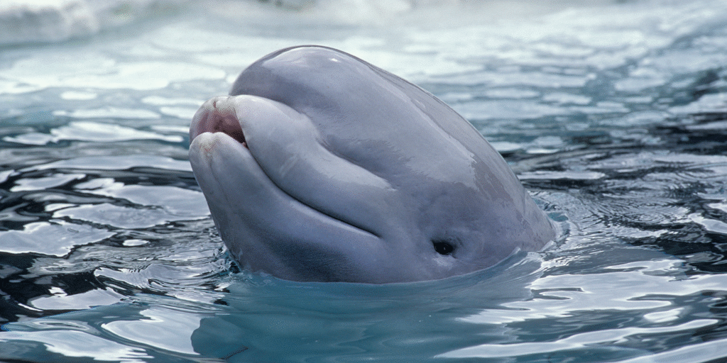 Three lines, one assessment aligning business, compliance and audit around a single risk view