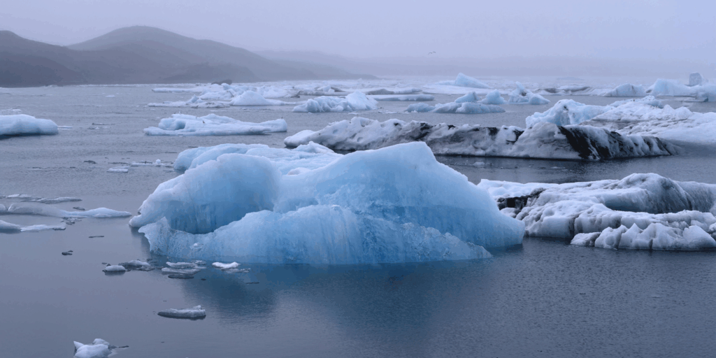 Why human roles define the strength of Financial Crime Risk Assessments