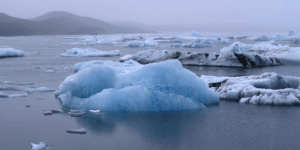 Why human roles define the strength of Financial Crime Risk Assessments