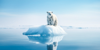 Arctic Intelligence Newsletter