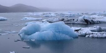 February 2026 newsletter