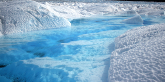 Arctic Intelligence Newsletter Feb 2024