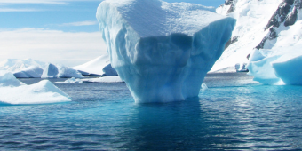 LinkedIn-Newsletter-Jan-2024