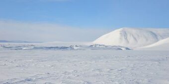 LI Newsletter September 2025