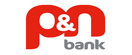 p and n logo 2